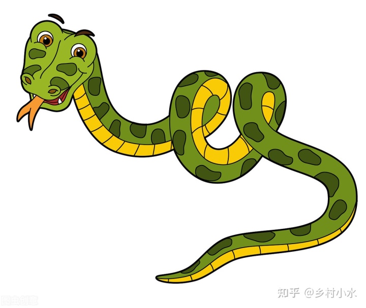 院子里种上5种植物，可以有效防止蛇进院子，就连毒蛇都逃之夭夭