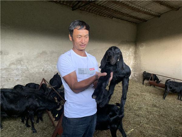 养羊致富经视频黑山羊_致富经黑山羊养殖场的视频_致富经黑山羊养殖视频