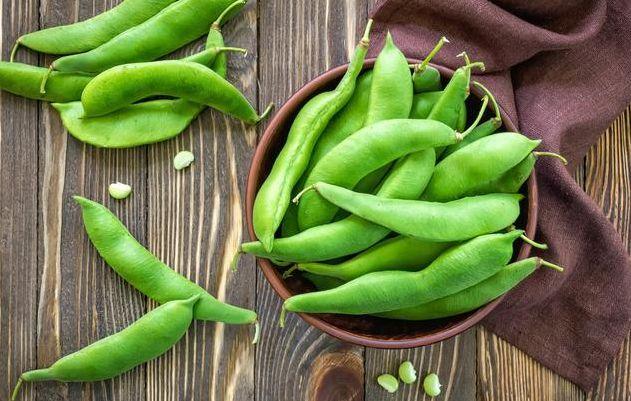 蔬菜种植，扁豆的施肥、浇水、病虫害防治你会吗？来学学种植技