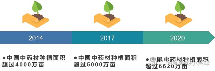 致富经2020年中药材_药材种植的致富带头人_中药材种植致富