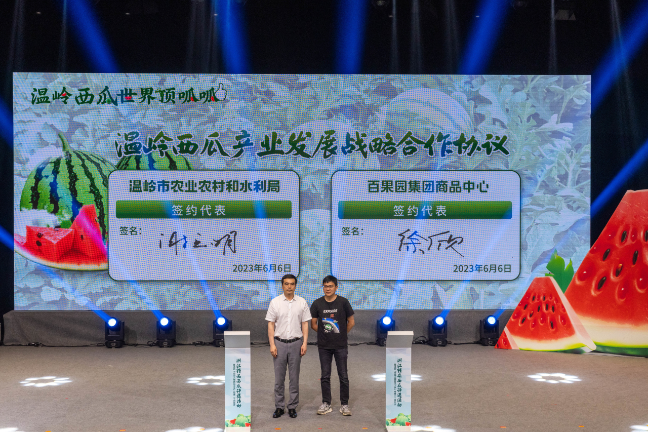 种植西瓜致富视频_农业种植致富项目西瓜_视频致富西瓜种植教程