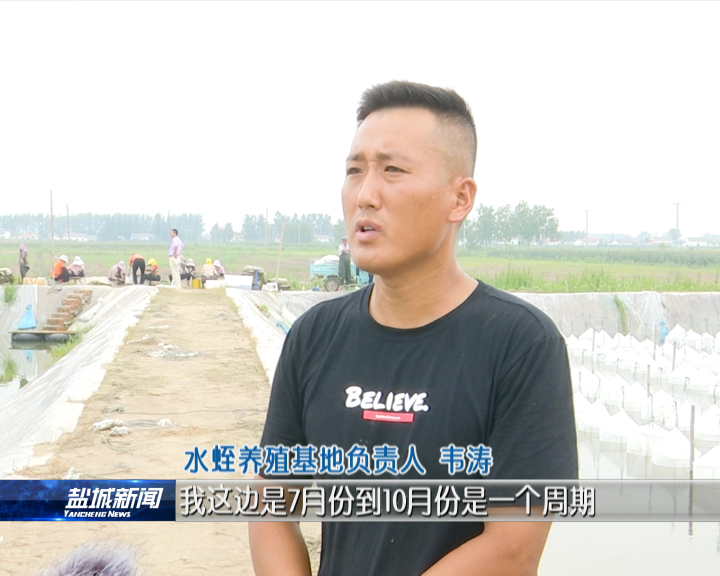 养殖蚂蝗致富_致富养殖蚂蝗赚钱吗_致富养殖蚂蝗视频