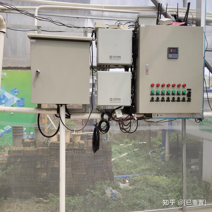 致富经石蛙_致富经石蛙养殖技术视频_致富经石蛙鱼共生