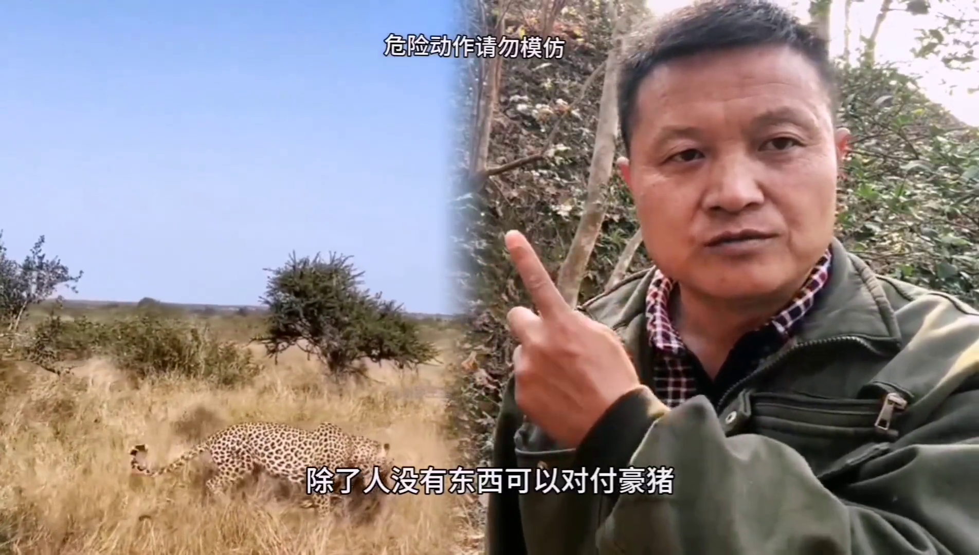 湖南豪猪养殖基地_养殖湖南豪猪技术要求_湖南养殖豪猪技术