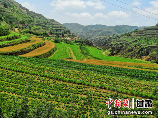 致富养殖种草图片大全_种草养殖致富经_致富养殖好项目