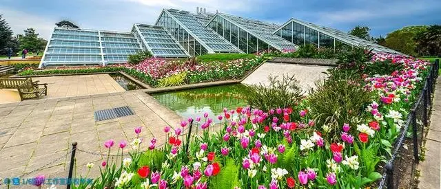 栀子花卉养殖技术_花卉养殖栀子技术要求_栀子花养殖视频教程