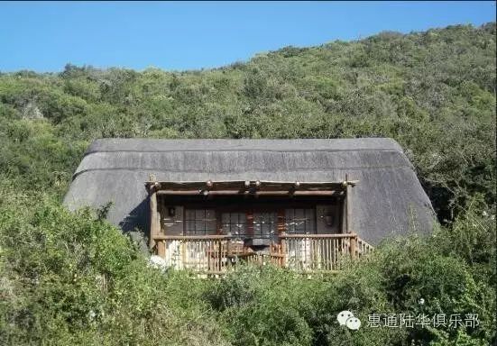 海豹养殖场_养殖海豹致富的人_人工养殖海豹