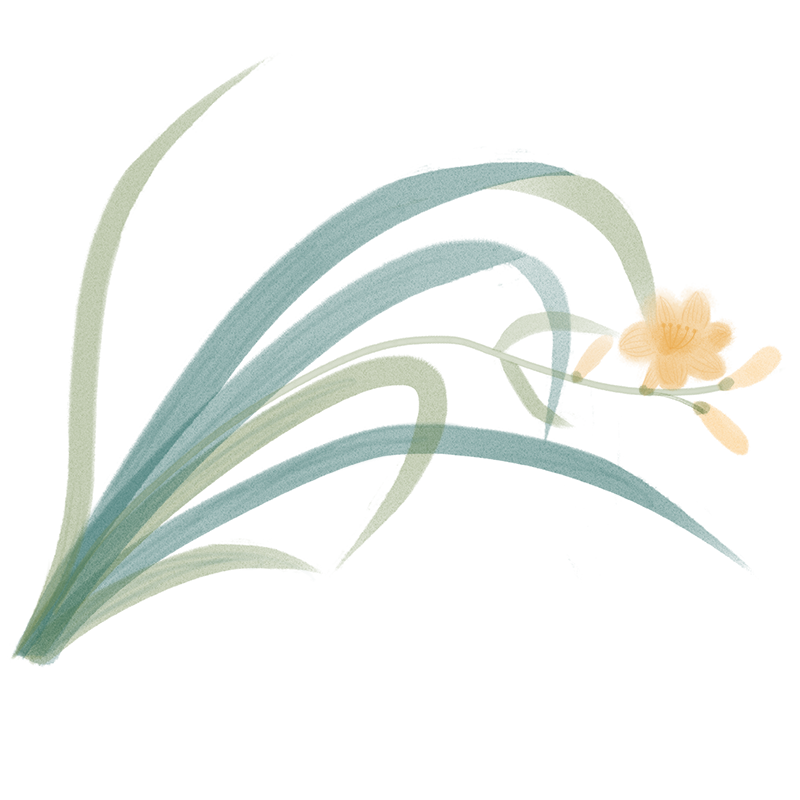 致富种植农村东西叫什么_农村致富种植什么好_农村种植致富的东西叫什么