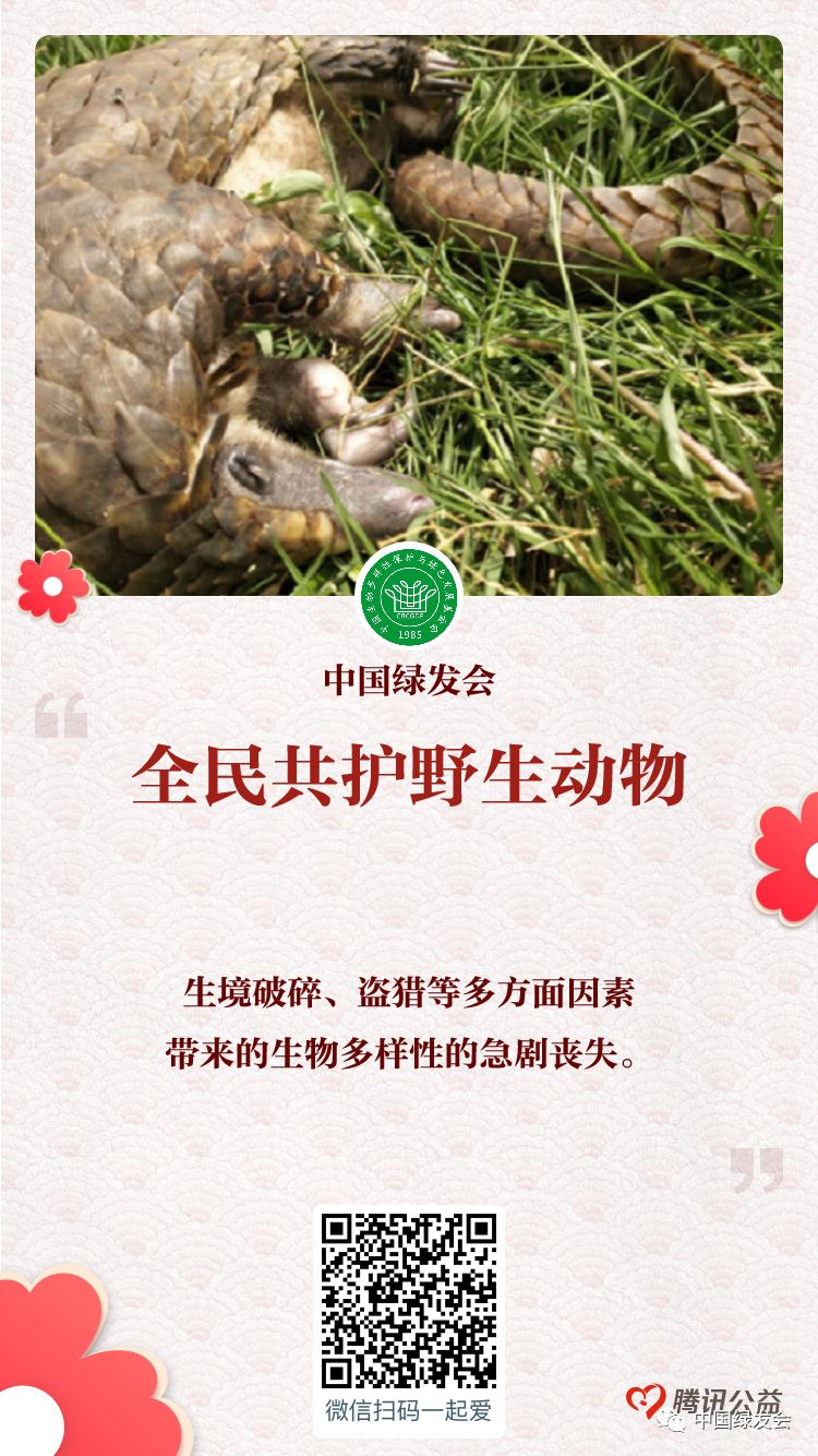 周晋峰接受荷兰记者采访，呼吁共同保护生态系统和地球