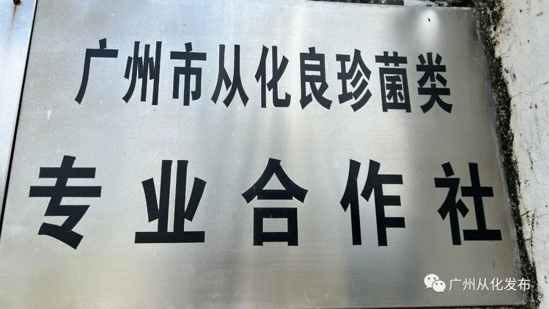 从化有南种植果场_广州从化适合种植植物_从化种植致富