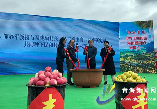 民和县隆治乡:种植“致富果” 助力乡村振兴