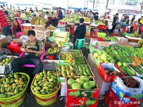 2020农村养殖致富门路_致富养殖农村有补贴吗_农村养殖致富8