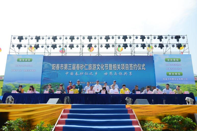 致富种植砂仁图片_种砂仁赚钱吗_种植砂仁致富