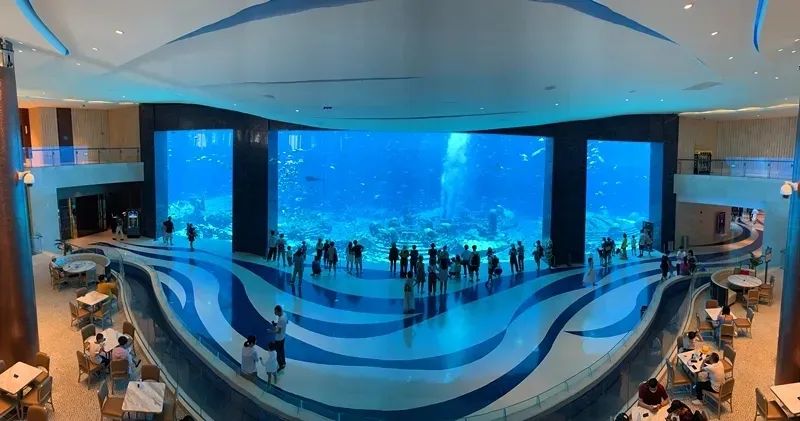 海南椰子产业基地_致富经海南椰子_海南椰子产品