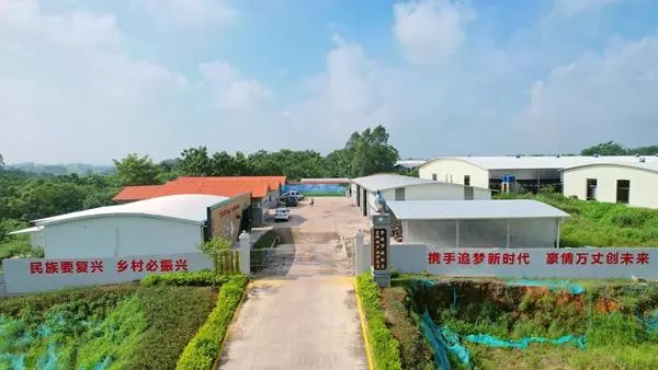 致富经养鸽子创业视频_致富鸽子养殖项目介绍_鸽子养殖致富项目