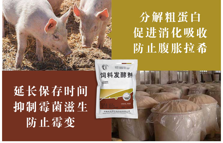 致富经酒糟养猪视频_酒糟养猪技术视频直播大全_酒糟养猪成本和利润