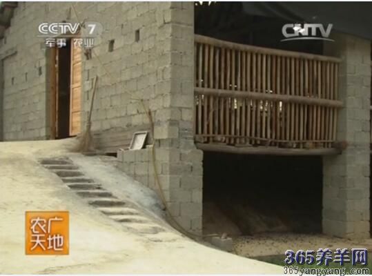 农广天地养羊视频：努比山羊养殖技术