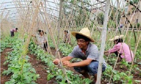 致富经吴梦华养殖石蛙_致富经吴梦华养殖石蛙_致富经吴梦华养殖石蛙