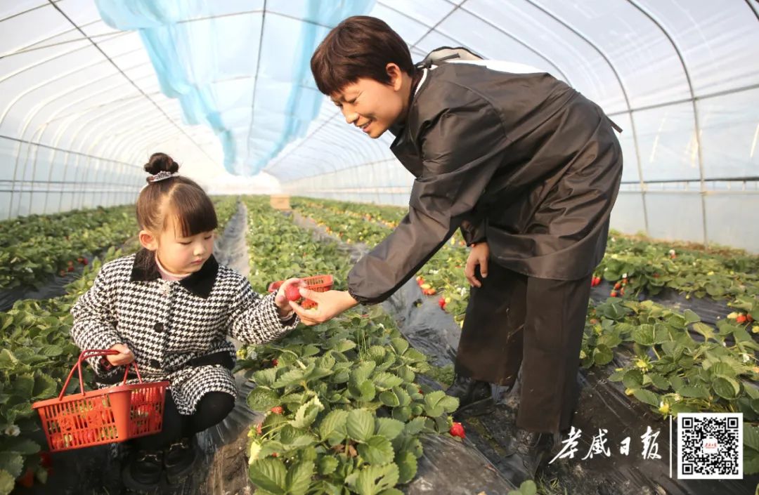 农业致富种植销路_农村致富项目种植业_致富种植农业销路怎么样