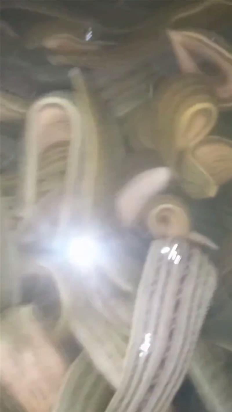 水蛭人工养殖的饲养与管理_人工水蛭养殖技术视频_人工养水蛭存活率是多少