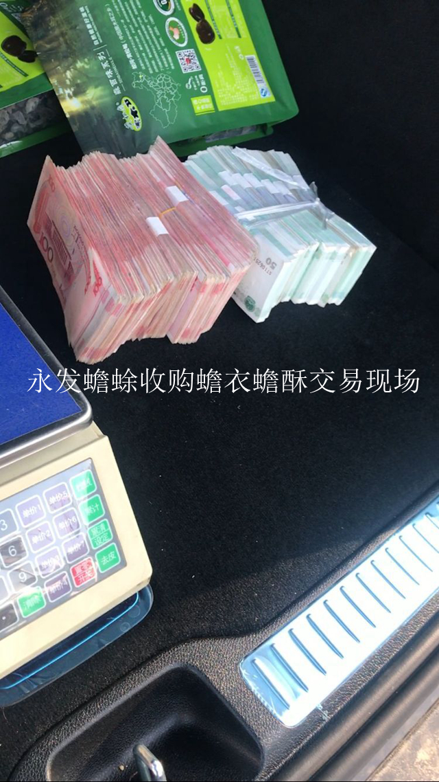 QQ图片20171002145558_副本.jpg