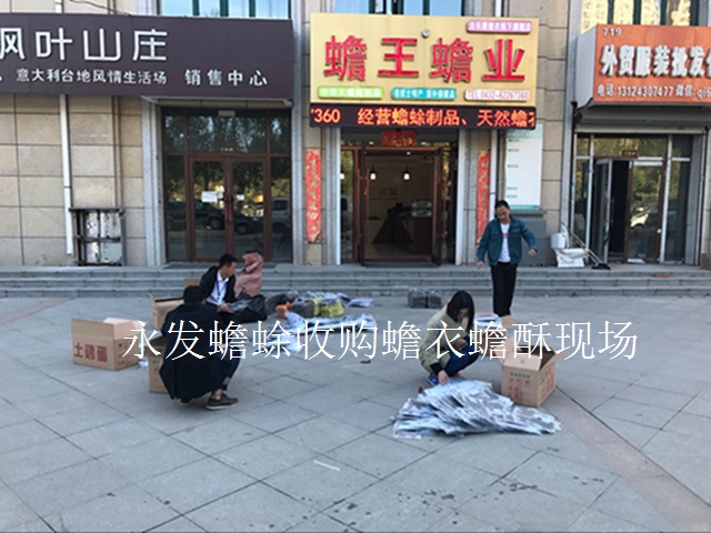 致富经  蟾酥_蟾酥致幻_蟾酥骗局