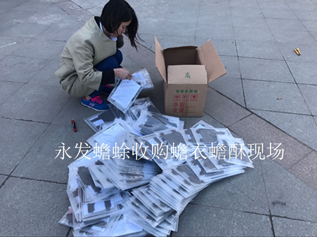 致富经  蟾酥_蟾酥致幻_蟾酥骗局