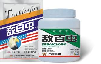 致富蚊子养殖视频_致富蚊子养殖方法_养殖蚊子致富