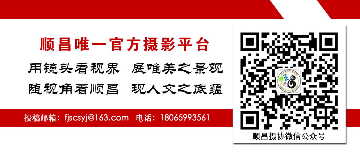 致富经种果树_种植蜜源树种致富_种树致富经
