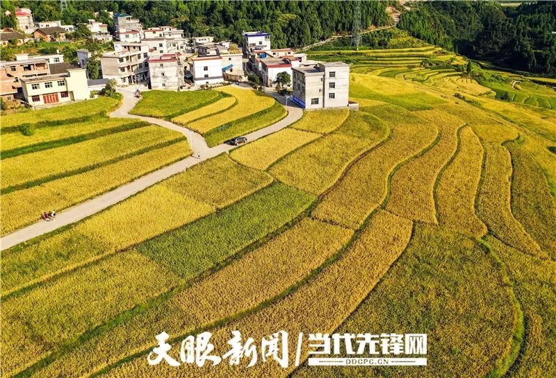 潮湿农村养殖致富_农村养殖致富路_农村致富养殖项目大全