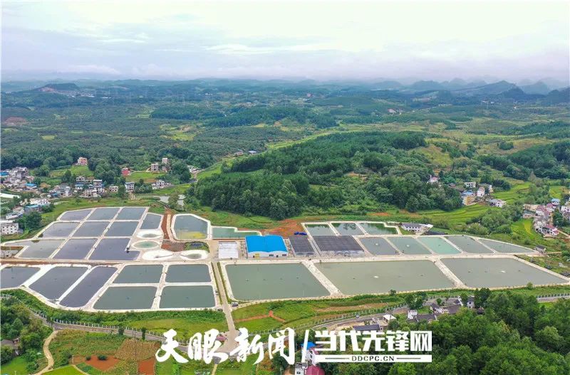 农村养殖致富路_农村致富养殖项目大全_潮湿农村养殖致富