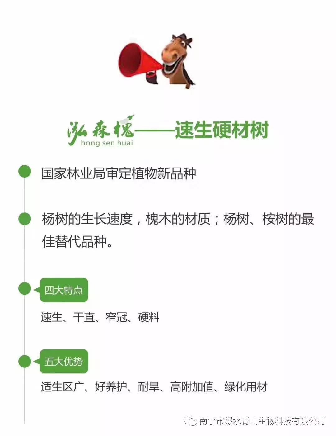 种树致富经_种植蜜源树种致富_致富树种种植蜜源是什么
