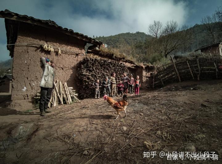东北香菇种植技术_东北香菇怎么样_东北有香菇种植基地吗