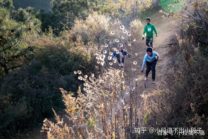 东北有香菇种植基地吗_东北香菇怎么样_东北香菇种植技术
