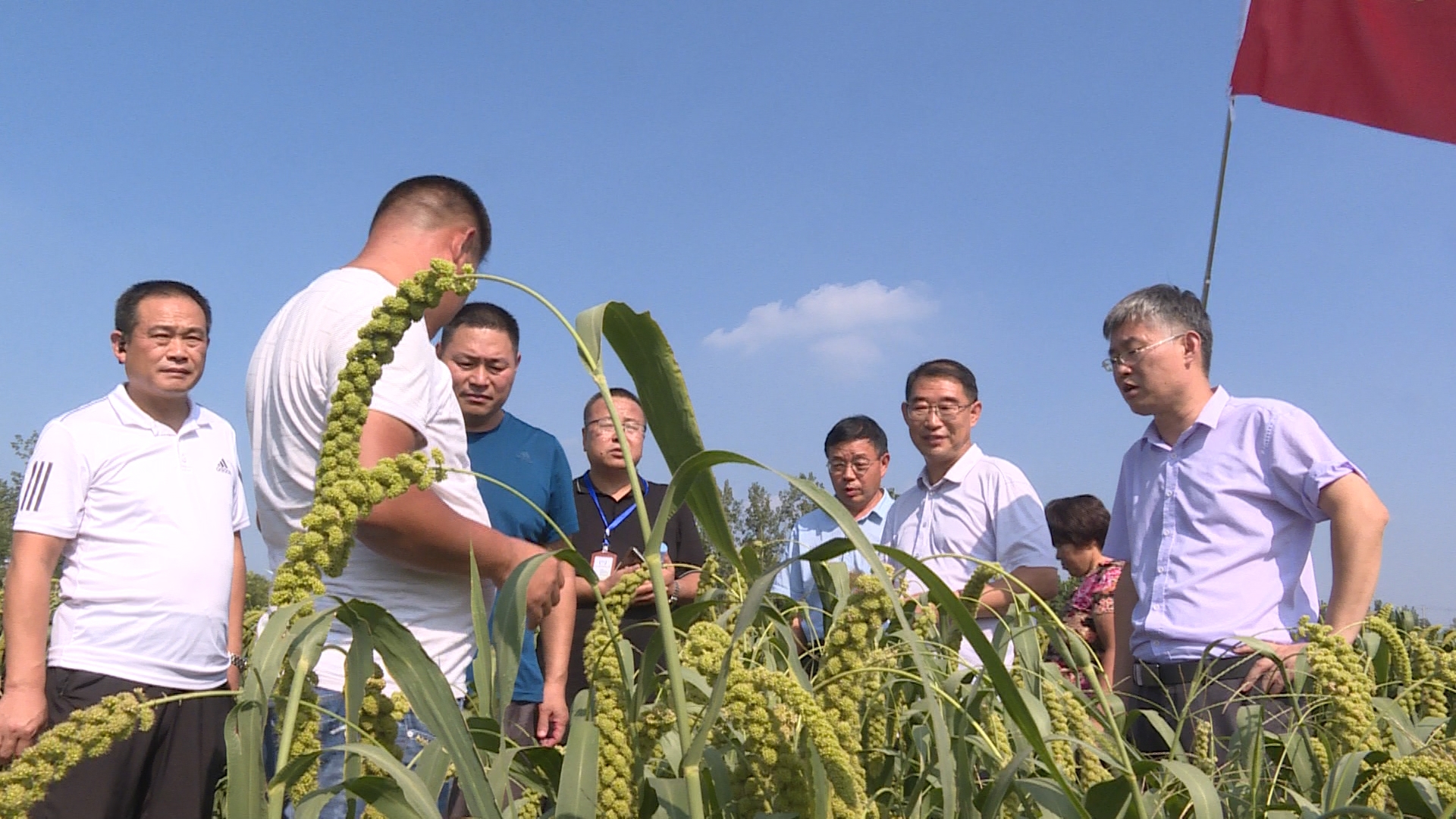养殖致富网视频_养殖致富视频科技_致富创业网养殖视频