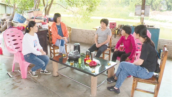 马铃薯种植大户成为“农秀才” 恩平致力培养“乡村工匠”，带动村民增收致富