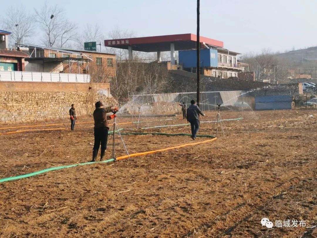 地丁种植效益_地丁亩产收益是多少_地丁种植致富