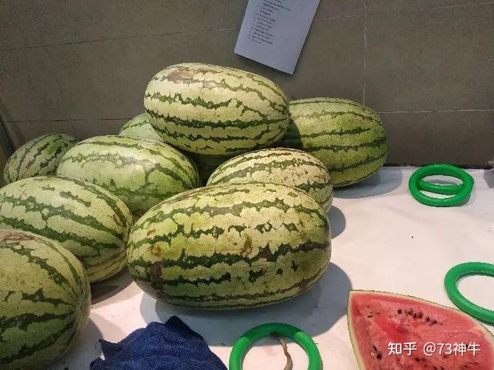 北京种西瓜是几月份_致富经种西瓜致富的事_致富经种西瓜北京