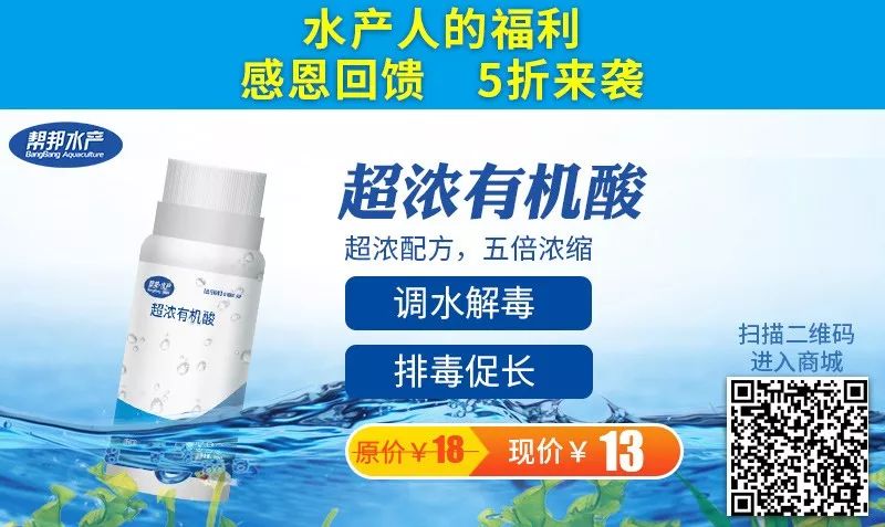 螃蟹养殖方法和环境_螃蟹养殖视频教程_养殖螃蟹技术图