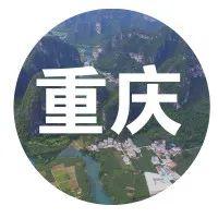 种植豇豆视频_豇豆种植技术与管理视频_洋县种植豇豆致富