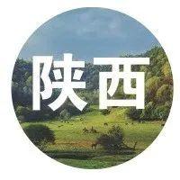 豇豆种植技术与管理视频_种植豇豆视频_洋县种植豇豆致富