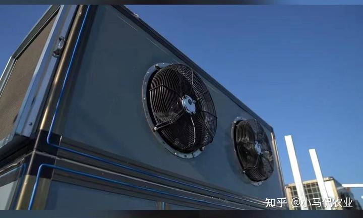 香菇东北种植技术视频_东北有香菇种植基地吗_东北香菇种植技术