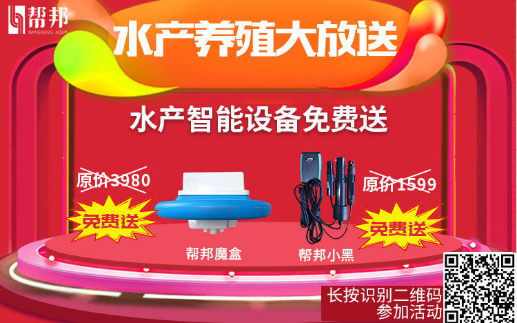 螃蟹养殖方法和环境_养殖螃蟹技术图_螃蟹养殖方法和注意事项