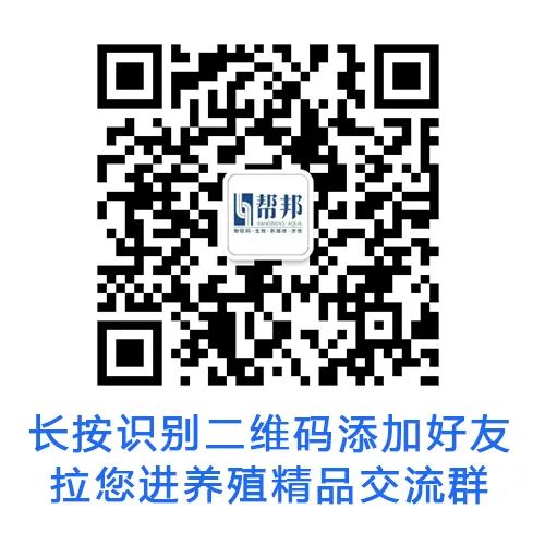 螃蟹养殖方法和注意事项_养殖螃蟹技术图_螃蟹养殖方法和环境
