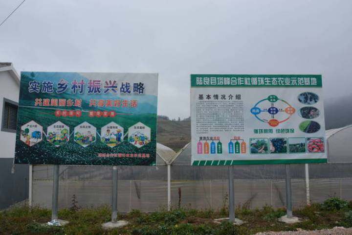 致富经蚯蚓养鸡视频_致富经养蚯蚓_致富经蚯蚓喂鸡的好处
