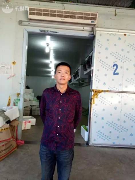 河南种植辣椒_致富经河南男子种辣椒_致富经辣椒种植视频