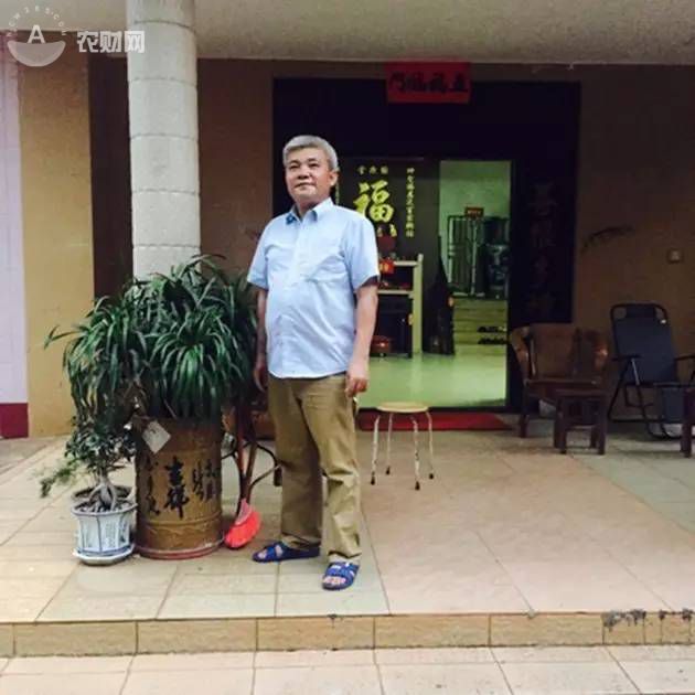 河南种植辣椒_致富经河南男子种辣椒_致富经辣椒种植视频