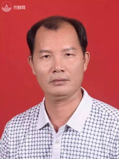 河南种植辣椒_致富经辣椒种植视频_致富经河南男子种辣椒