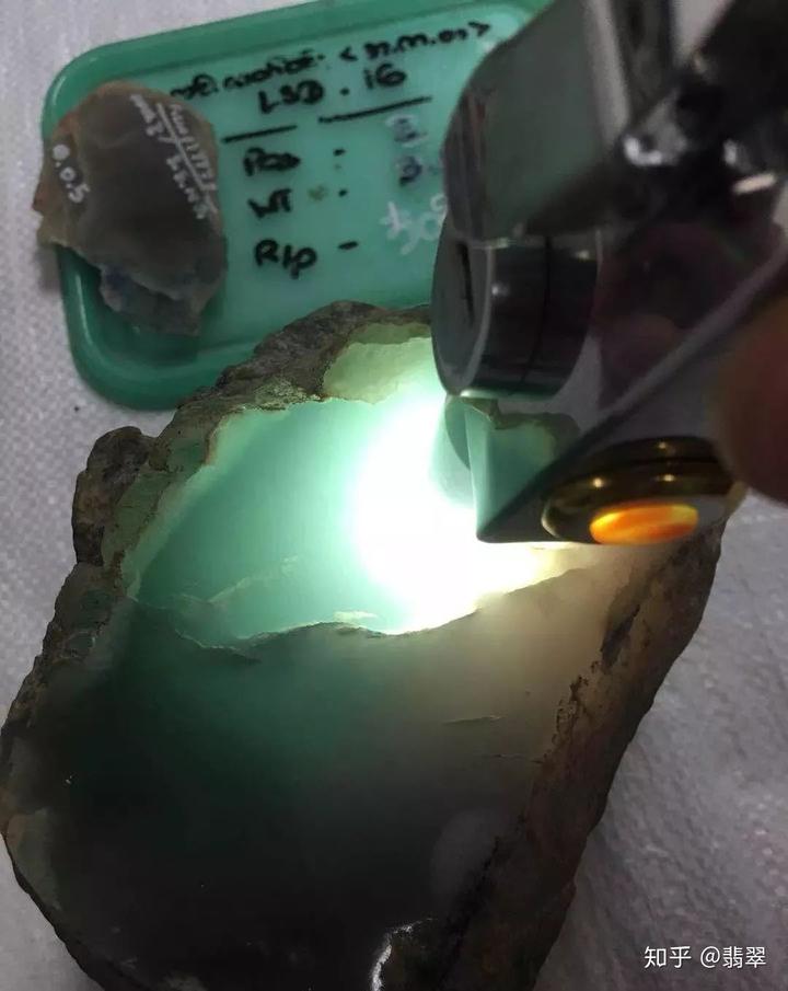 致富经养蟹视频_缅甸蟹多少钱_致富经缅甸蟹养殖