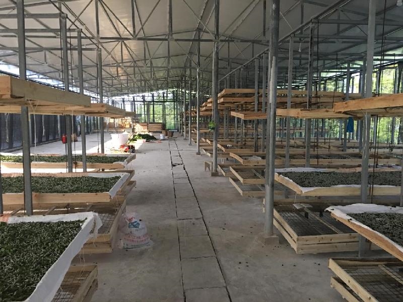 绵阳养殖技术_绵阳致富养殖_四川绵阳养殖基地
